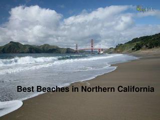 Best Beaches in Northern California