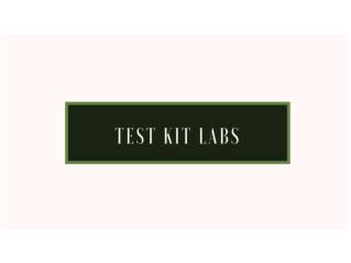 Gonorrhea Test Kit