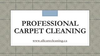 Professional Carpet Cleaning