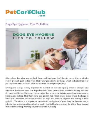 Dogs Eye Hygiene: Tips To Follow