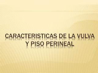 CARACTERISTICAS DE LA VULVA Y PISO PERINEAL