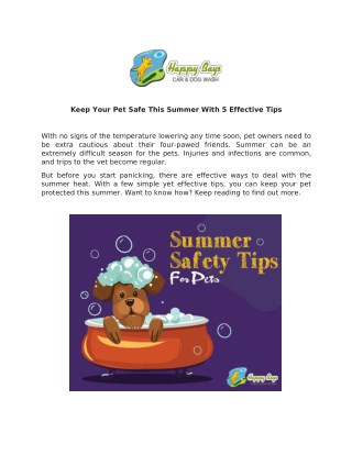 Keep Your Pet Safe This Summer With 5 Effective Tips