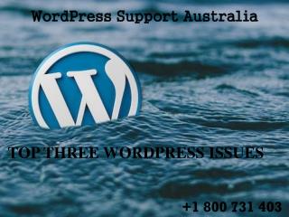 Top Three WordPress Issues