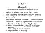 Monopoly Industrial Organization Characterized by: