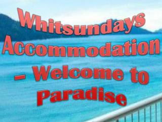 Whitsundays Accommodation for All Types of Backpackers