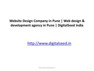 Website Design Company in Pune | Web design & development agency in Pune | DigitalSeed India