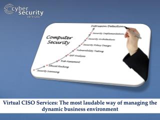 Take control of information security with Virtual CISO Services