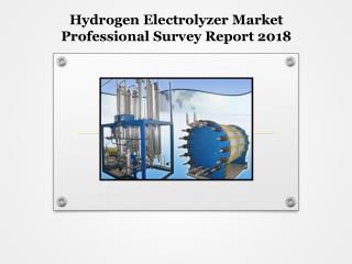 Hydrogen Electrolyzer Market Professional Survey Report 2018