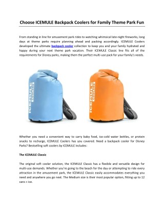 Choose ICEMULE Backpack Coolers for Family Theme Park Fun