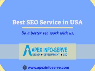 Best SEO Service in USA - Choose Apex Info-Serve to get the same