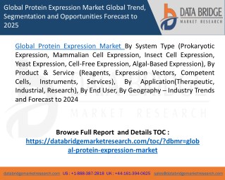 Global Protein Expression Market â€“ Industry Trends and Forecast to 2024