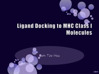 Ligand Docking to MHC Class I Molecules