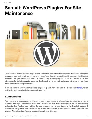 Semalt: WordPress Plugins For Site Maintenance