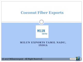 Coconut Fiber Exports