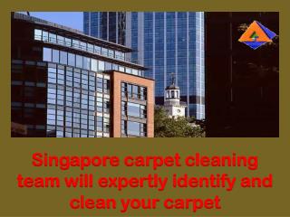 Singapore carpet cleaning team will expertly identify and clean your carpet