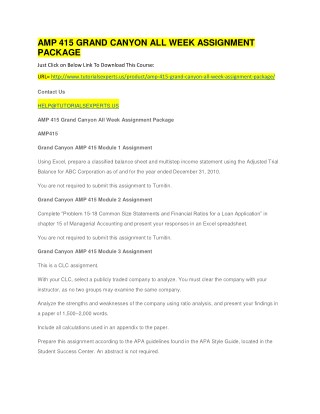 AMP 415 GRAND CANYON ALL WEEK ASSIGNMENT PACKAGE