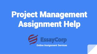 Project Management Help with Essaycorp Experts Writers
