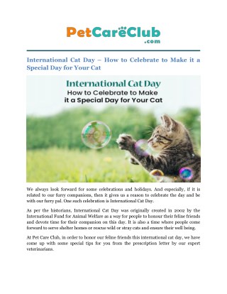 International Cat Day â€“ How to Celebrate to Make it a Special Day for Your Cat