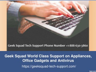 Geek Squad World Class Support on Appliances, Office Gadgets and Antivirus