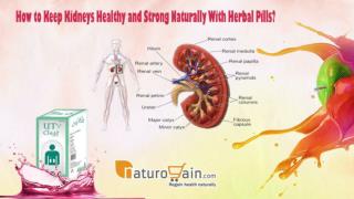 How to Keep Kidneys Healthy and Strong Naturally With Herbal Pills?