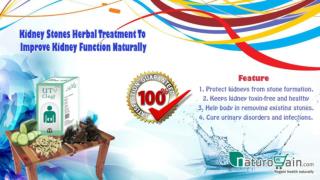 Kidney Stones Herbal Treatment to Improve Kidney Function Naturally