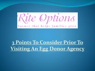 3 Points To Consider Prior To Visiting An Egg Donor Agency