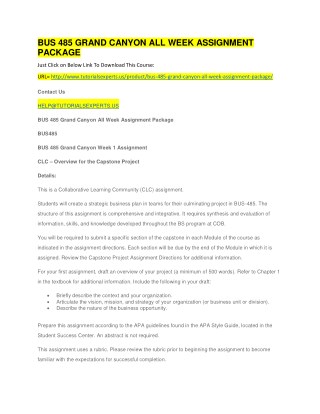 BUS 485 GRAND CANYON ALL WEEK ASSIGNMENT PACKAGE