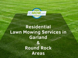 Looking for lawn mowing services in Garland and Round Rock, Texas area?