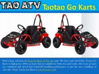 Taotao Go Karts