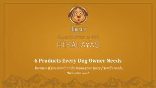 Products Every Dog Owner Needs