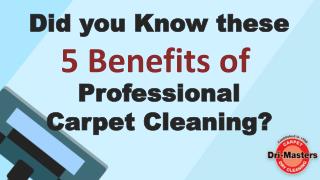 5 Benefits of Professional Carpet Cleaning