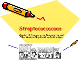 Streptococcaceae