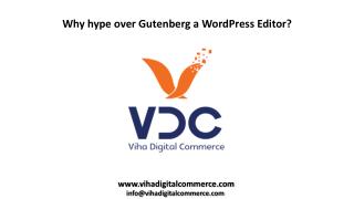 Why Hype Over Gutenberg a WordPress Editor?