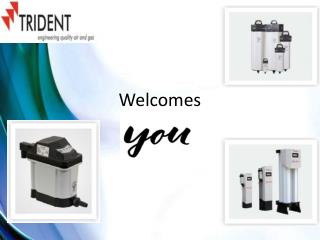 Nitrogen gas generators - Trident Pneumatics