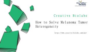 How to Solve Melanoma Tumor Heterogeneity