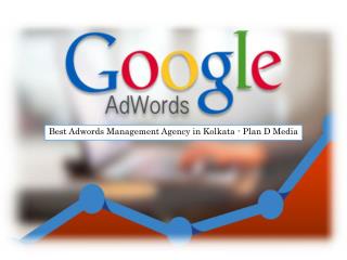 Best Adwords Management Agency in Kolkata - Plan D Media