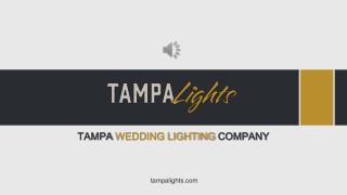 Tampa Wedding Lighting Company - Tampa Lights