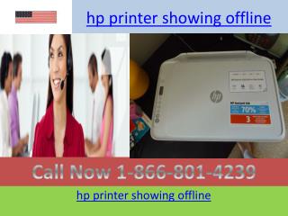 hp printer showing offline