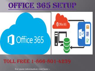 office 365 setup