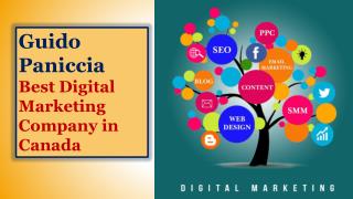 Guido Paniccia Best Digital Marketing Company in Canada