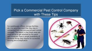 Pick a Commercial Pest Control Company with These Tips