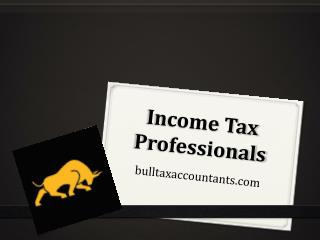 Income Tax Professionals - bulltaxaccountants.com