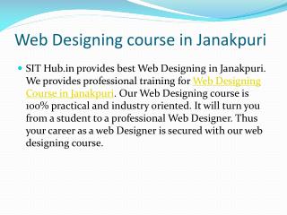 Web Designing institute in palam