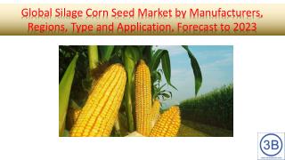 Global Silage Corn Seed Market by Manufacturers, Regions, Type and Application, Forecast to 2023
