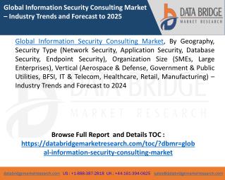 Global Information Security Consulting Market â€“ Industry Trends and Forecast to 2024