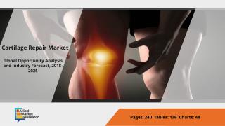 Cartilage Repair Market