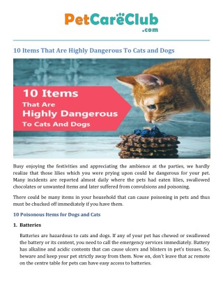 10 Items That Are Highly Dangerous To Cats AndÂ Dogs