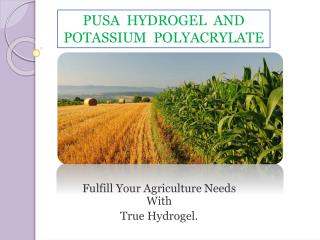 Benefits of Pusa Hydrogel