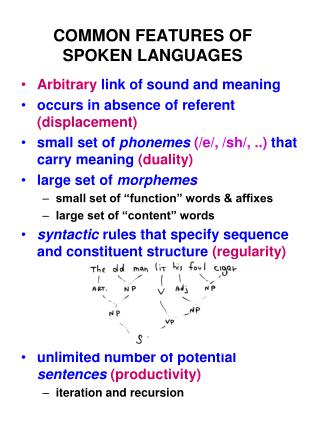 COMMON FEATURES OF SPOKEN LANGUAGES