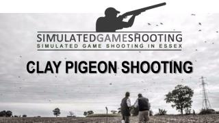 Driven Game Shooting